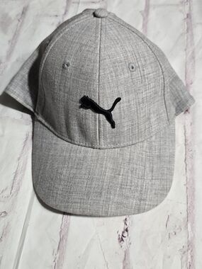 Puma Gray Men's Performance Baseball Cap